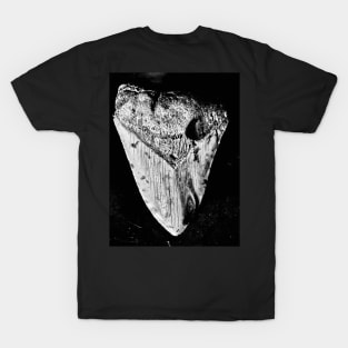 Knot a Tooth T-Shirt